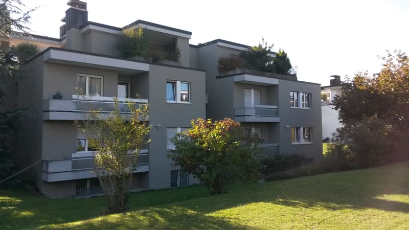 Rêve d'attique - dans le quartier préféré de Haslen avec 2 terrasses! (3)