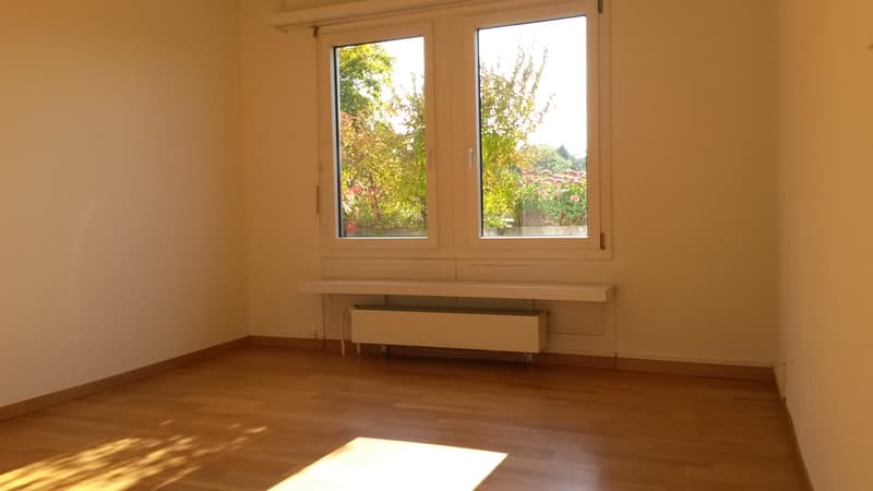 Rêve d'attique - dans le quartier préféré de Haslen avec 2 terrasses! (9)