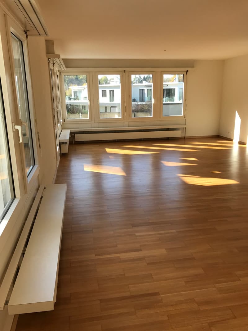 Rêve d'attique - dans le quartier préféré de Haslen avec 2 terrasses! (5)
