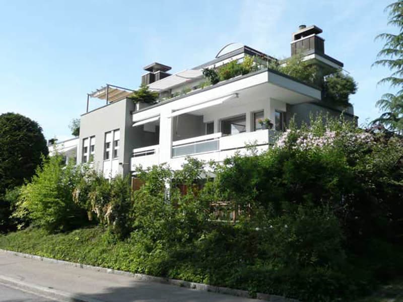 Rêve d'attique - dans le quartier préféré de Haslen avec 2 terrasses! (1)