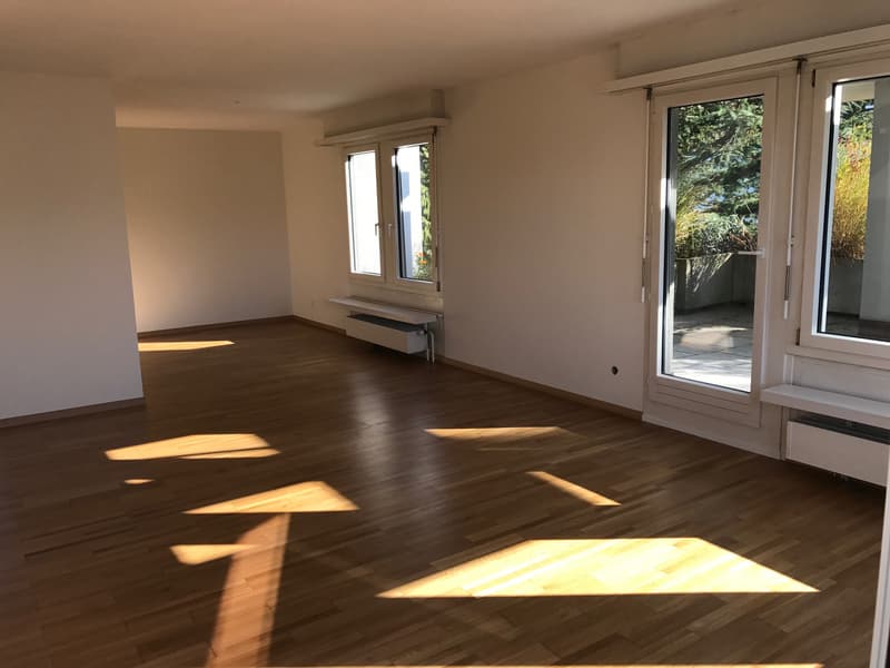 Rêve d'attique - dans le quartier préféré de Haslen avec 2 terrasses! (8)