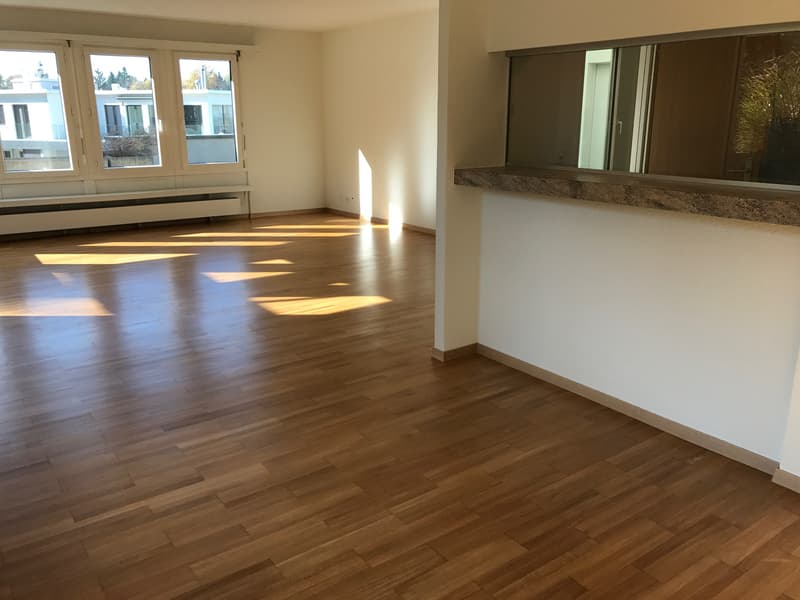 Rêve d'attique - dans le quartier préféré de Haslen avec 2 terrasses! (7)