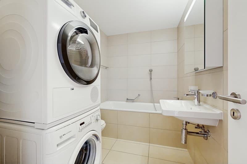 Die moderne Eleganz in Reichweite (10)
