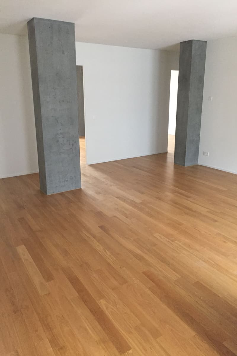 Atmosfera urbana (3)