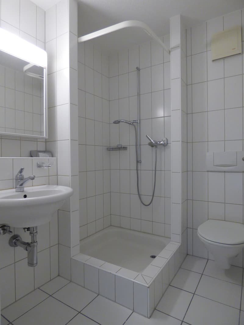 Votre nouvelle oasis de bien-être directement au cœur de Horgen! (10)
