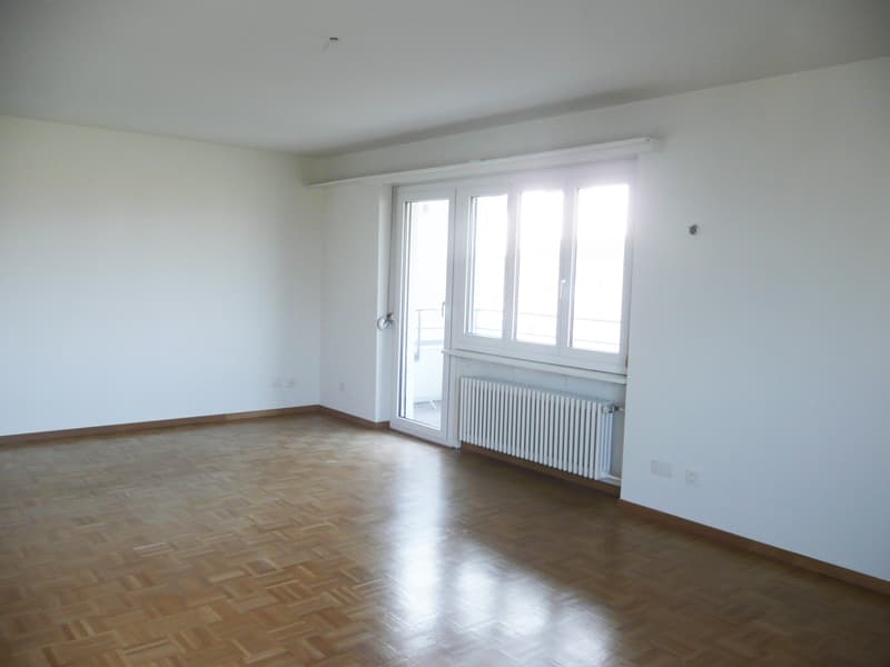 Appartement central avec vue sur le vert - Location sans caution ! (2)