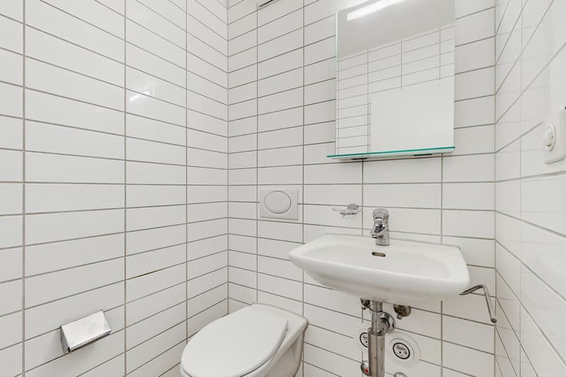 Ihr neues Zuhause an der Bollwerkstrasse 50 (9)
