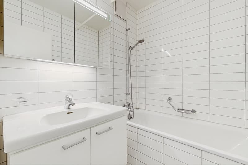 Ihr neues Zuhause an der Bollwerkstrasse 50 (8)