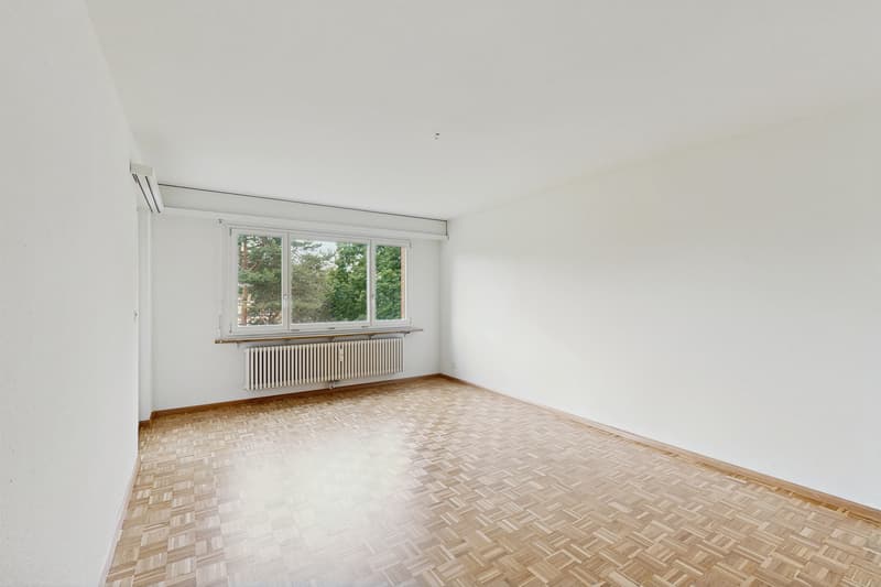 Ihr neues Zuhause an der Bollwerkstrasse 50 (2)
