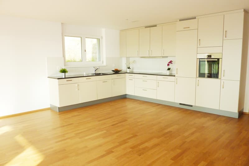 Wohnung mit traumhaftem Ausblick! (3)