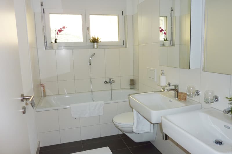 Wohnung mit traumhaftem Ausblick! (4)