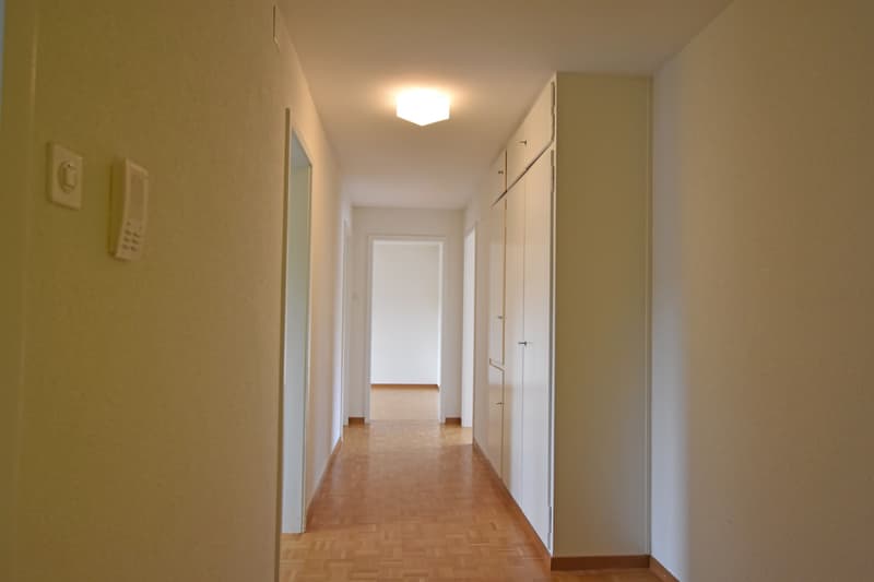Vivere nel bel quartiere di Fischermätteli? (6)