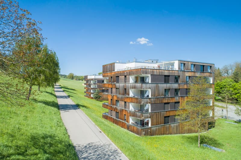 Nous louons du repos ! Appartement 2,5 pièces à Burgdorf (1)
