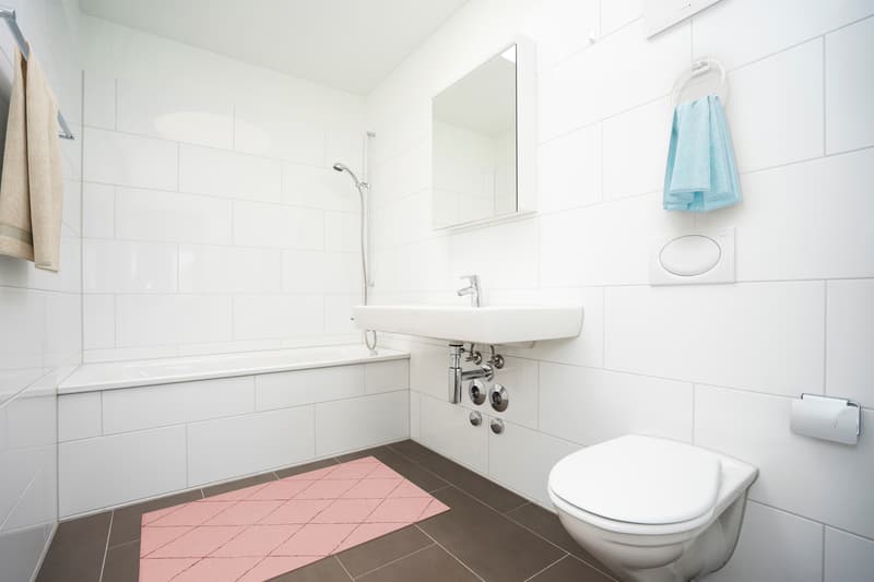 Nous louons du repos ! Appartement 2,5 pièces à Burgdorf (6)