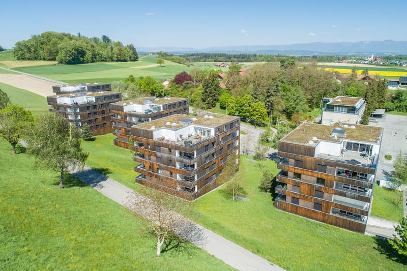 Nous louons du repos ! Appartement 2,5 pièces à Burgdorf (2)