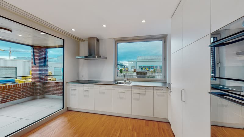 Modern apartment in Regensdorf (5)