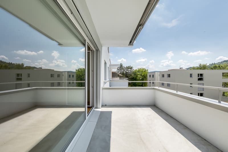 Spacious and modern apartment for rent (6)