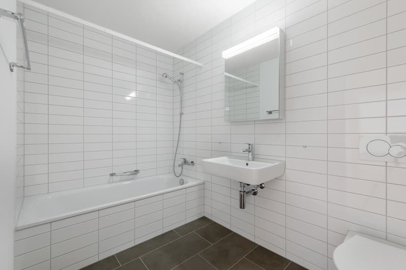 Spacious and modern apartment for rent (8)