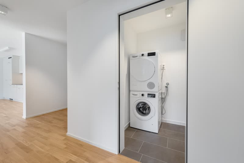 Spacious and modern apartment for rent (7)