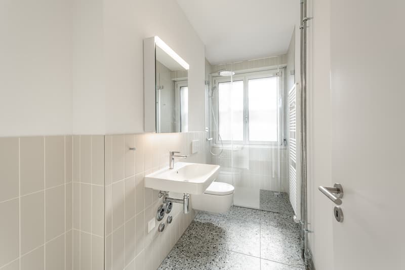 Appena ristrutturato - nel cuore di Zürich Enge - la tua nuova casa? (10)