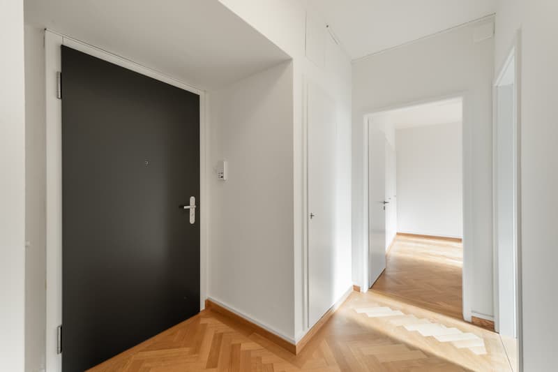 Appena ristrutturato - nel cuore di Zürich Enge - la tua nuova casa? (7)