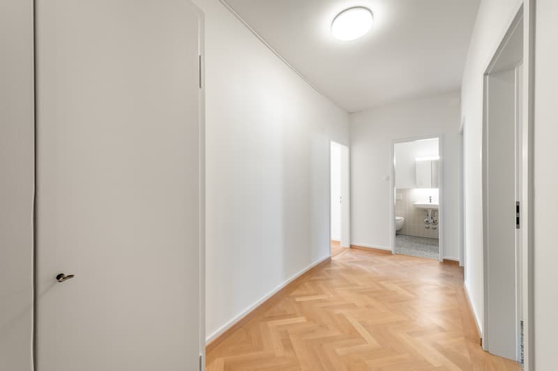 Appena ristrutturato - nel cuore di Zürich Enge - la tua nuova casa? (4)