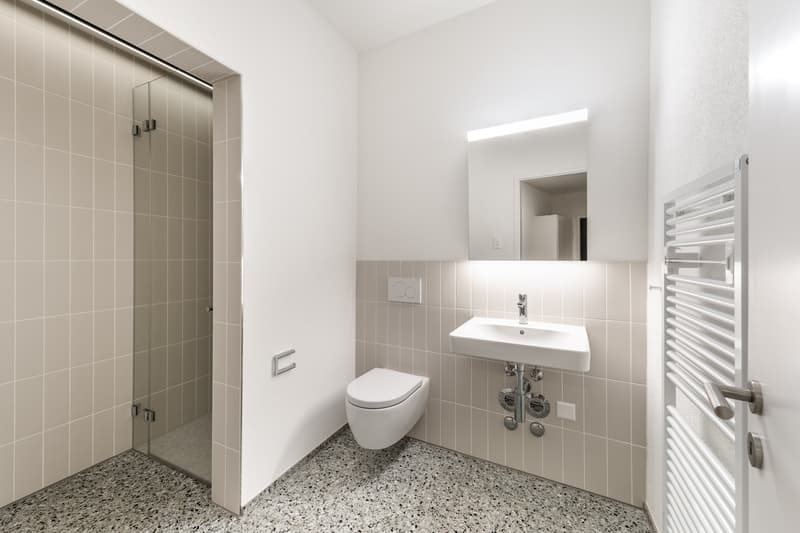 Appena ristrutturato - nel cuore di Zürich Enge - la tua nuova casa? (7)
