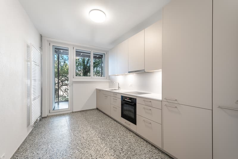 Appena ristrutturato - nel cuore di Zürich Enge - la tua nuova casa? (6)