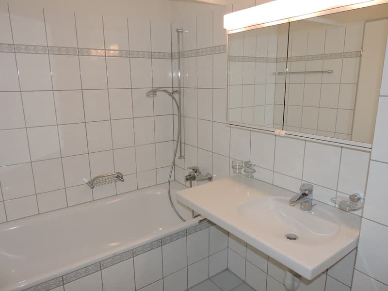 Bright living in a green area, centrally located (5)
