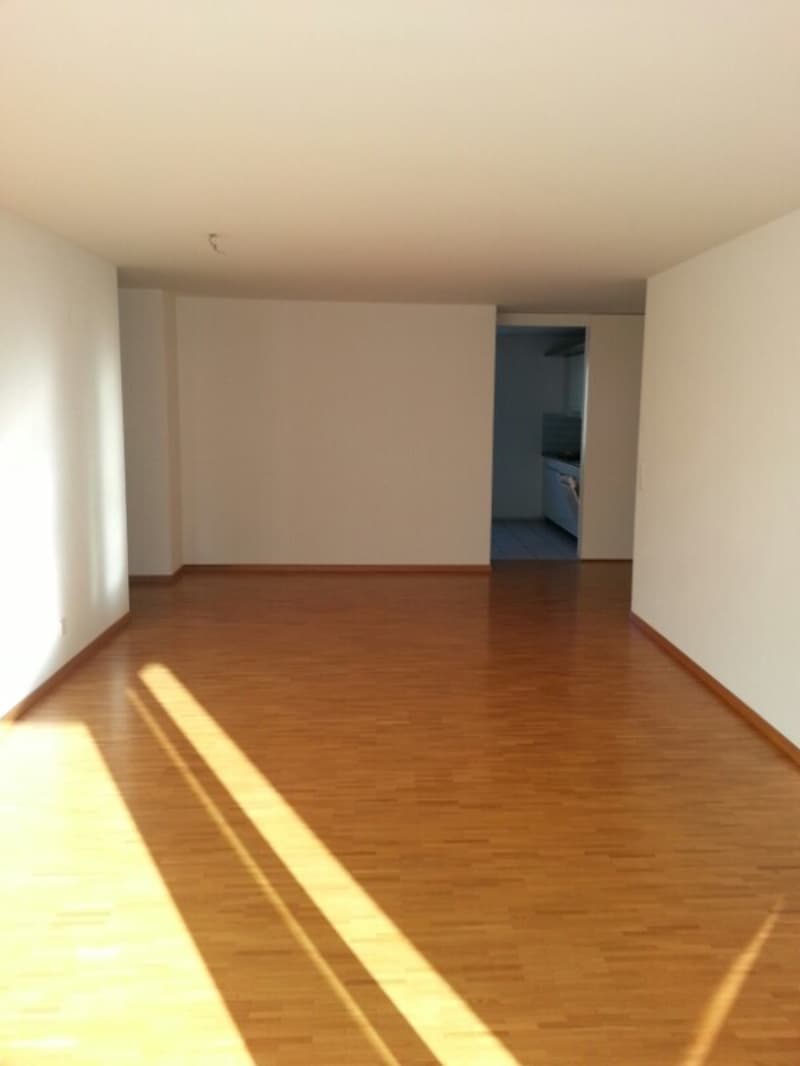 Bright living in a green area, centrally located (4)