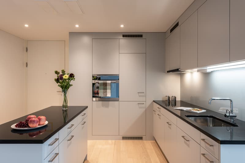 Modern living with loggia in attractive location (3)