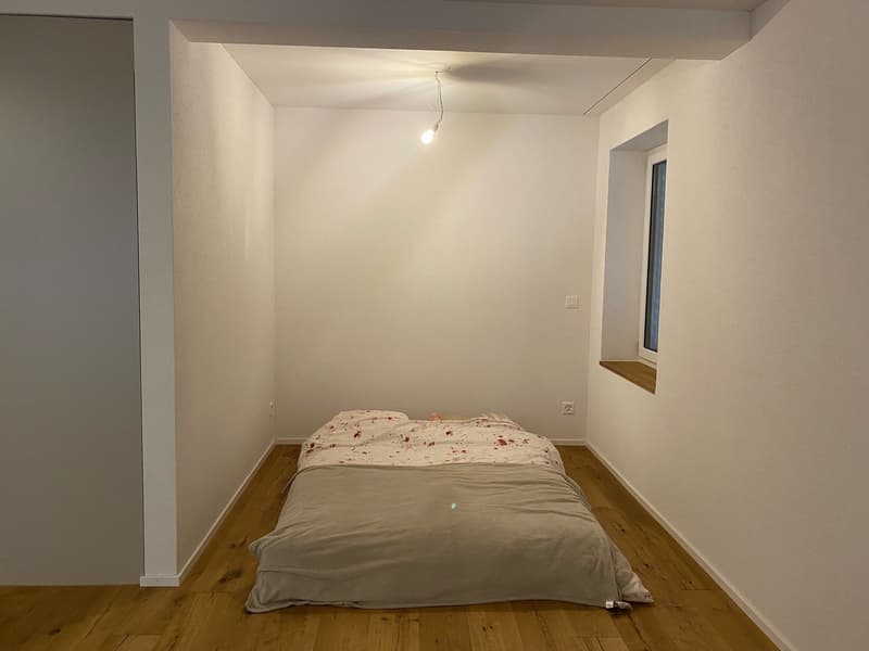 Gemütliche Singlewohnung zu vermieten (5)