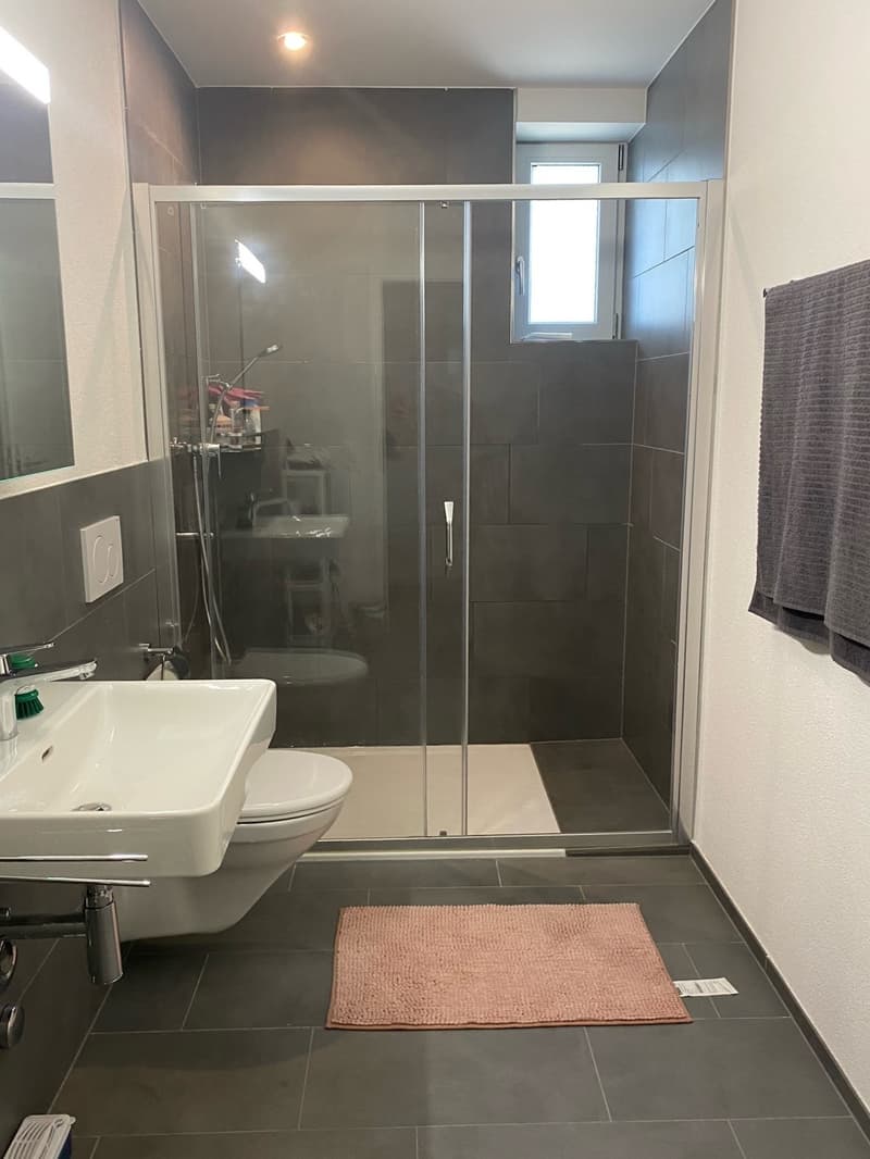 Gemütliche Singlewohnung zu vermieten (3)