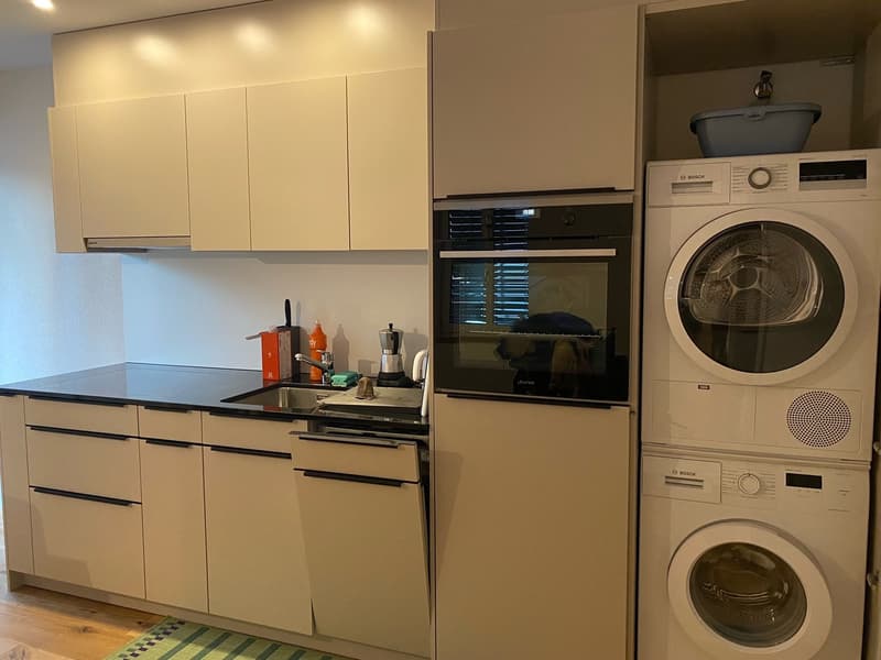 Gemütliche Singlewohnung zu vermieten (2)