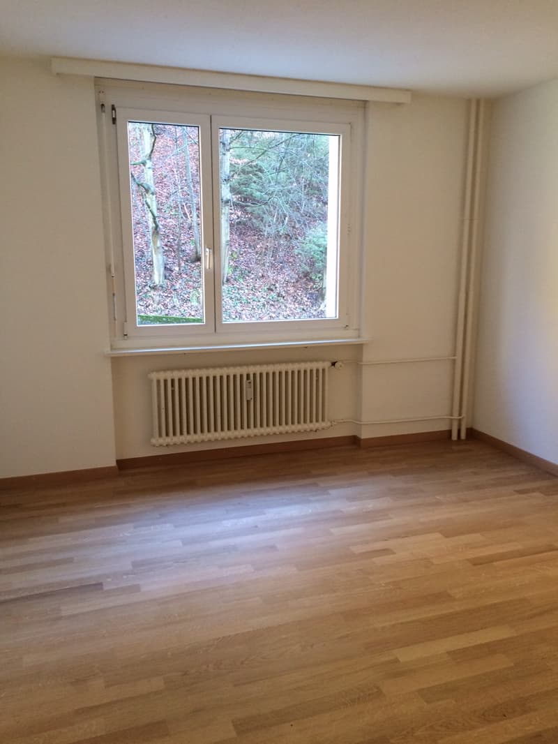 Cozy home near Reuss and nature (7)