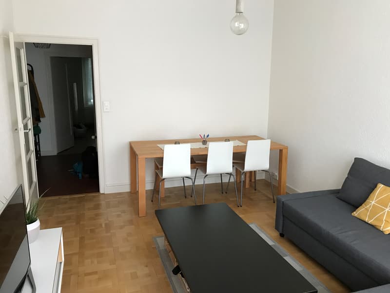 Angenehmes Apartment in Plainpalais (5)