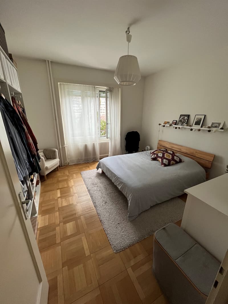 Angenehmes Apartment in Plainpalais (7)