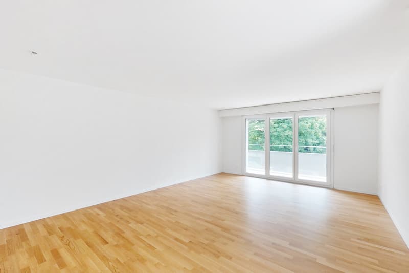Un endroit au soleil - Appartement en attique avec terrasse ensoleillée (2)