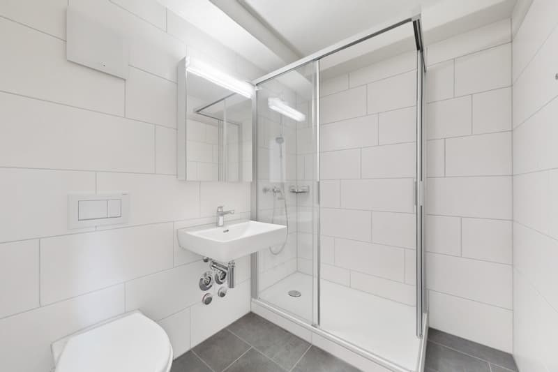 Un endroit au soleil - Appartement en attique avec terrasse ensoleillée (8)