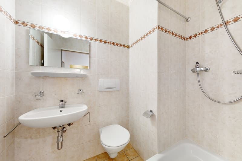 Prächtige Wohnung in Plainpalais! (13)