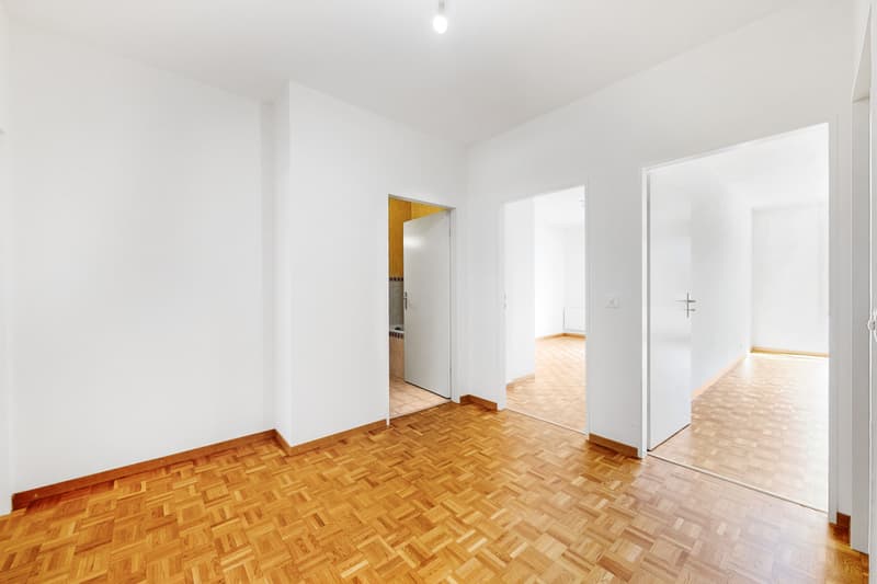 Prächtige Wohnung in Plainpalais! (10)