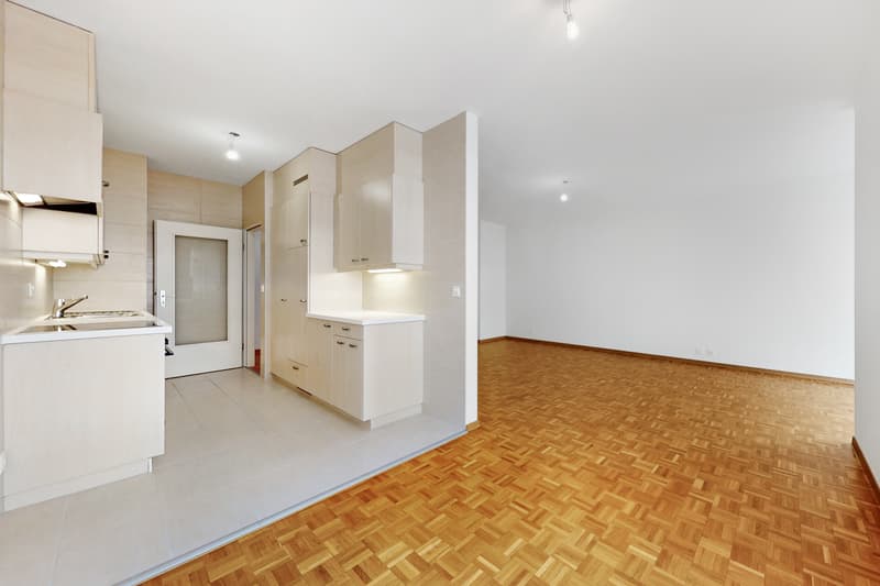 Prächtige Wohnung in Plainpalais! (7)
