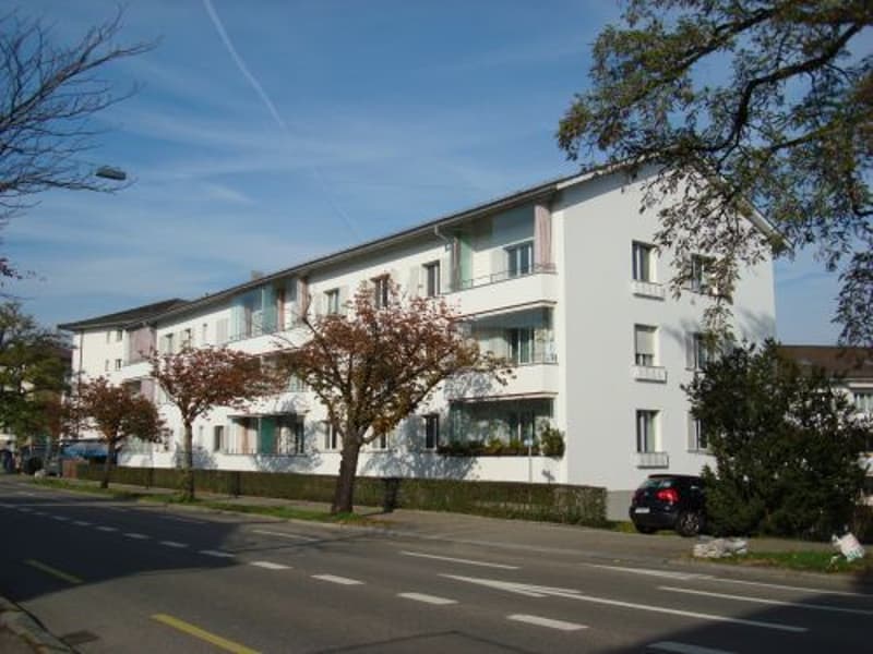 Tra Bucheggplatz e la stazione di Oerlikon (1)
