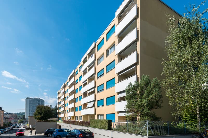 Logement entièrement rénové (6)