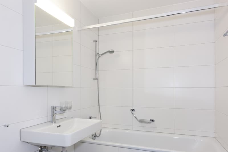 Fully renovated accommodation (3)