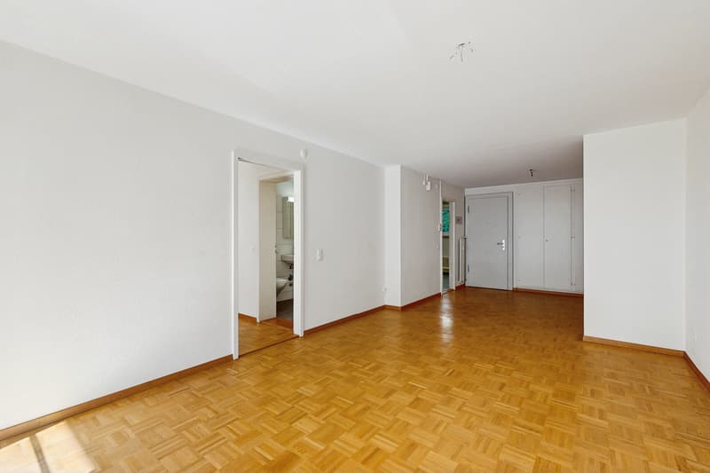 Logement entièrement rénové (3)