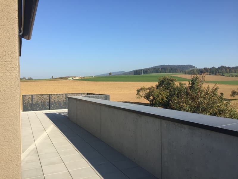 Sogno attico - godetevi l'estate su una terrazza di 33 m² (8)