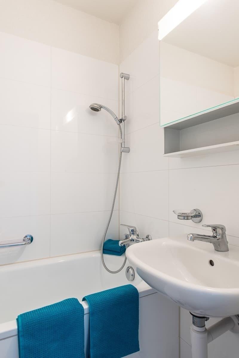 Vivere confortevolmente nella città di Olten! (9)