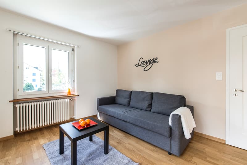 La tua nuova casa: Affascinante appartamento di 2 camere che ti aspetta! (6)