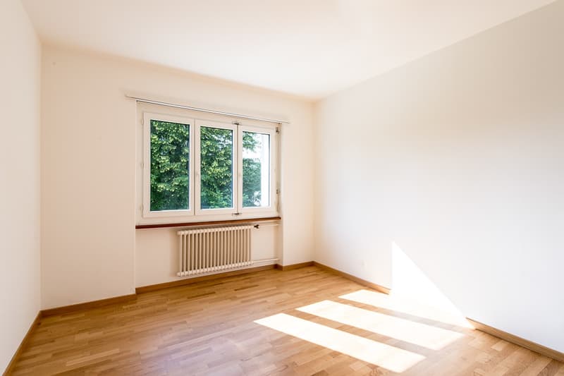 La tua nuova casa: Affascinante appartamento di 2 camere che ti aspetta! (4)